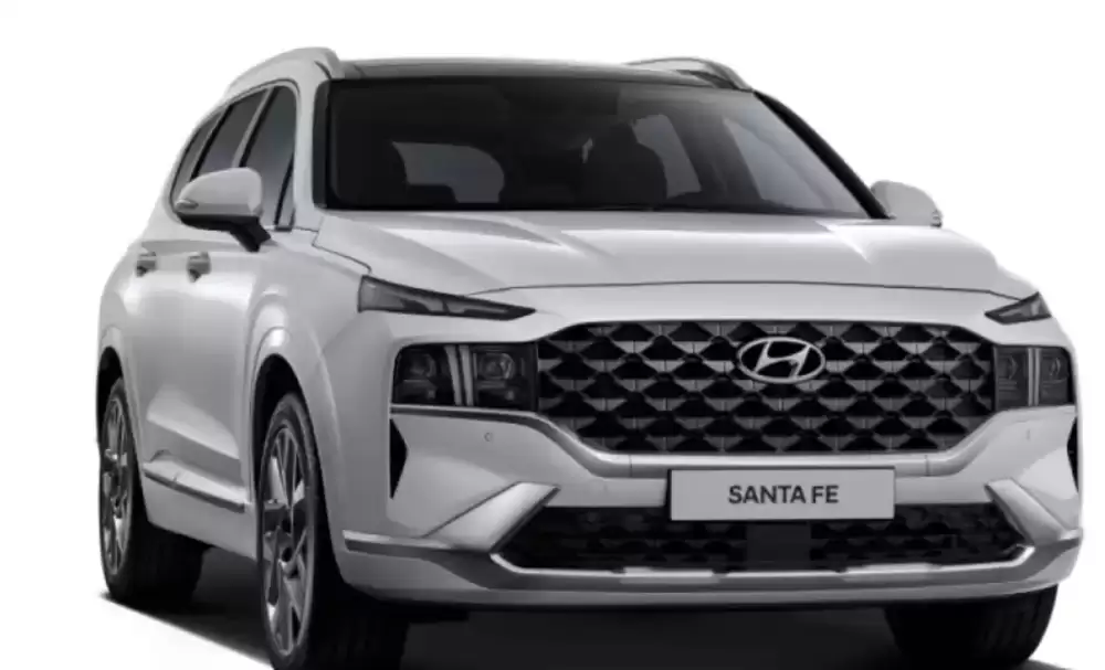 HYUNDAI SANTA FE (2021-2023) 3D GUMENÉ AUTOROHOŽE 
