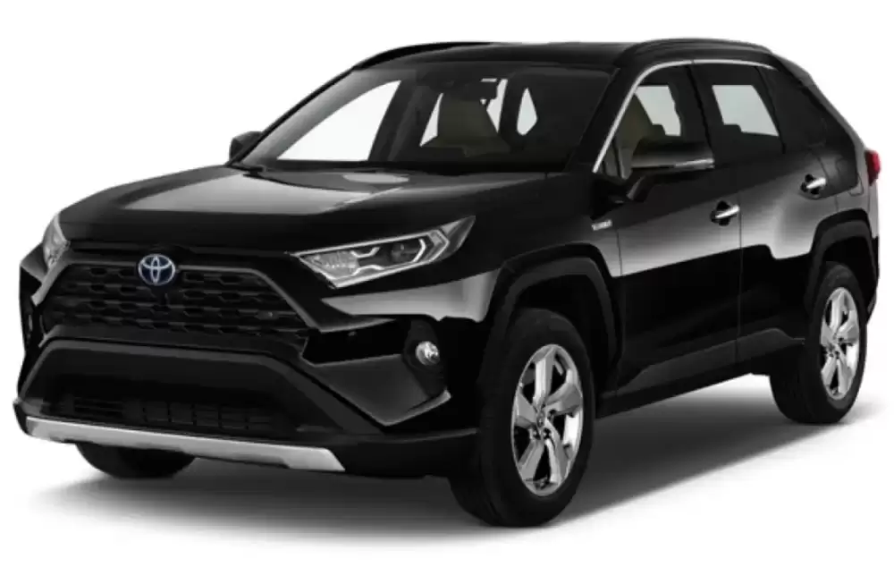 TOYOTA RAV4 (2019-) 3D GUMENÉ AUTOROHOŽE 